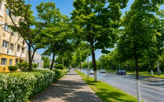 Garsonieră de vânzare – 22 Mp Utili - Parter - Vest -31.900 Euro - Poză 2