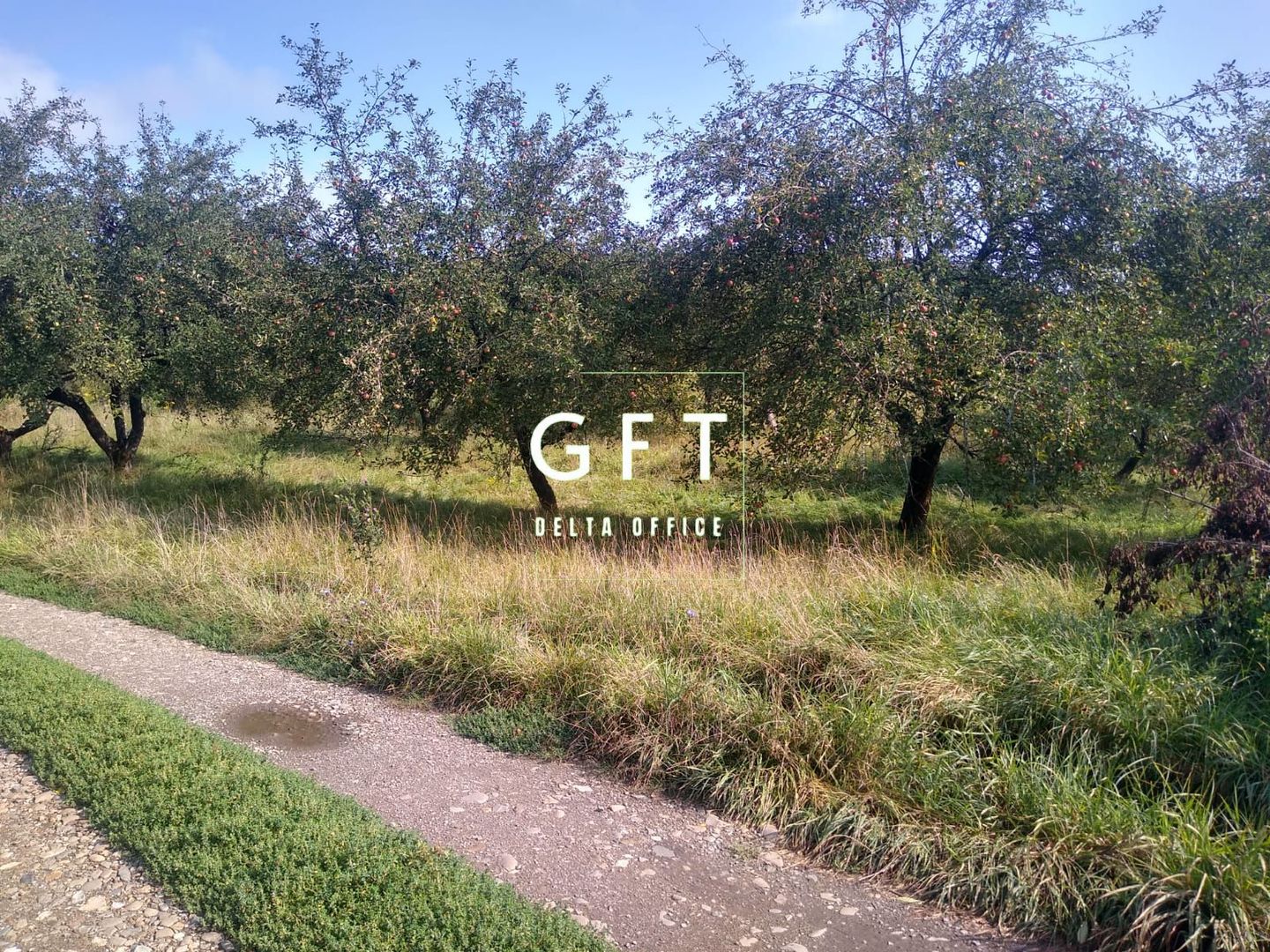 Teren 1500 mp - pretabil cabana/investitie - Zona Valea Rusului - Poză 2