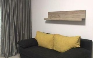Apartament cu o camera, parter - IC Frimu - Poză 7
