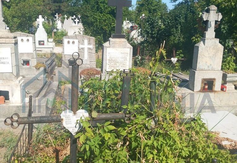 Cavou Eternitate, Parcela 19 – Iasi - Poză 4