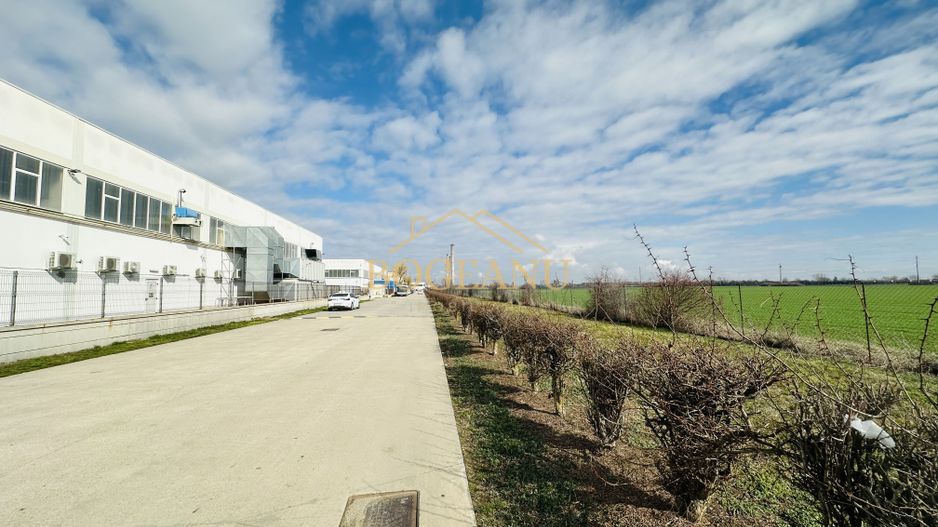 BG141-Teren-46.400 mp-Front 300 ml acces TIR | INCONTRO-Calea Sagului - Poză 4