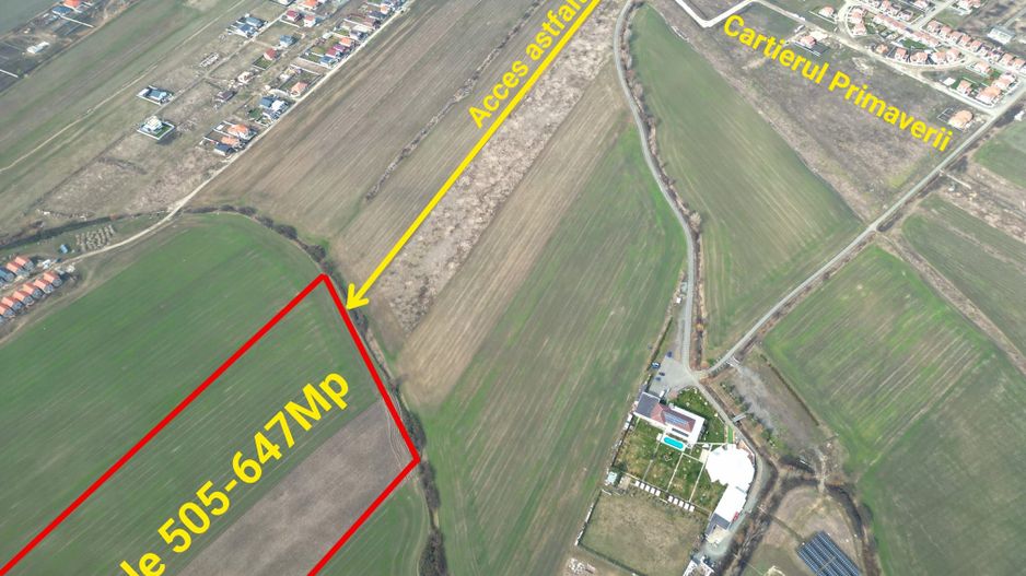 Teren la super pret-Sacalaz - Poză 2