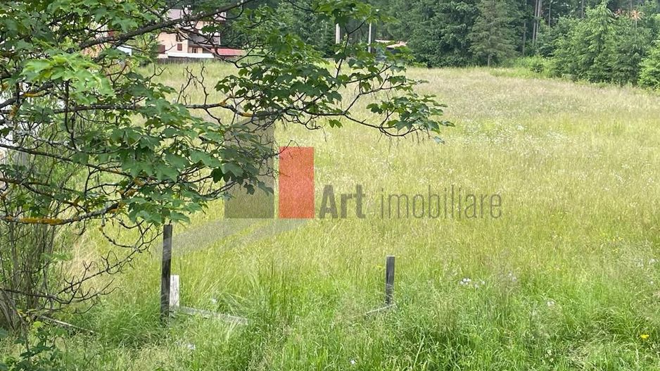 Teren statiunea Cheia, zona centrala - Poză 4