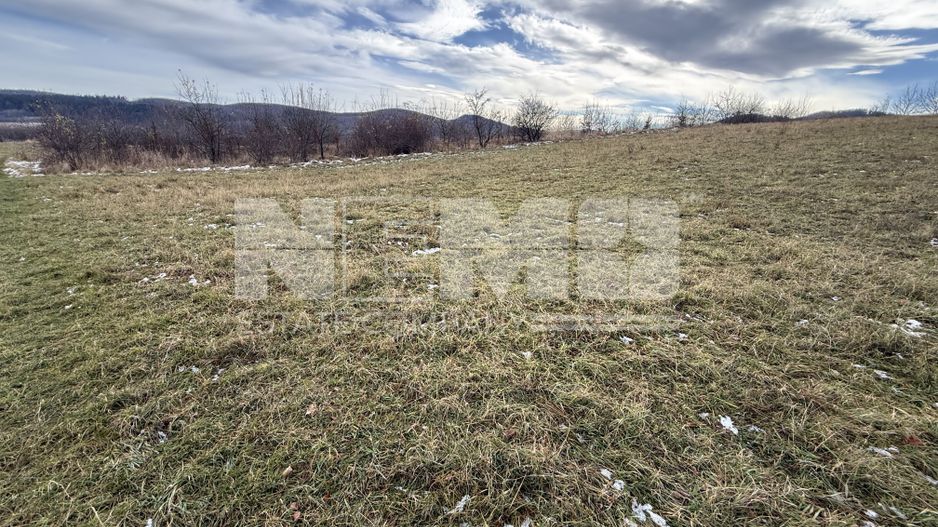 Teren Voievodeasa | 19.5Ari | Intravilan - Poză 6