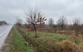 Teren la DN7 - ideal investitie (Benzinarie, spalatorie, hala, rezidential) - Poză 3