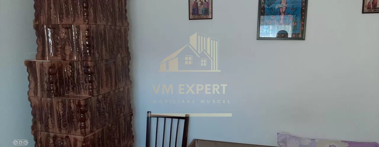 CASA 3 CAMERE, TEREN 5000 MP, RUCAR, ARGES - Poză 7