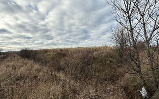 VAND TEREN 46 ARI | VOLOVAT | 47.000 EURO | - Poză 7