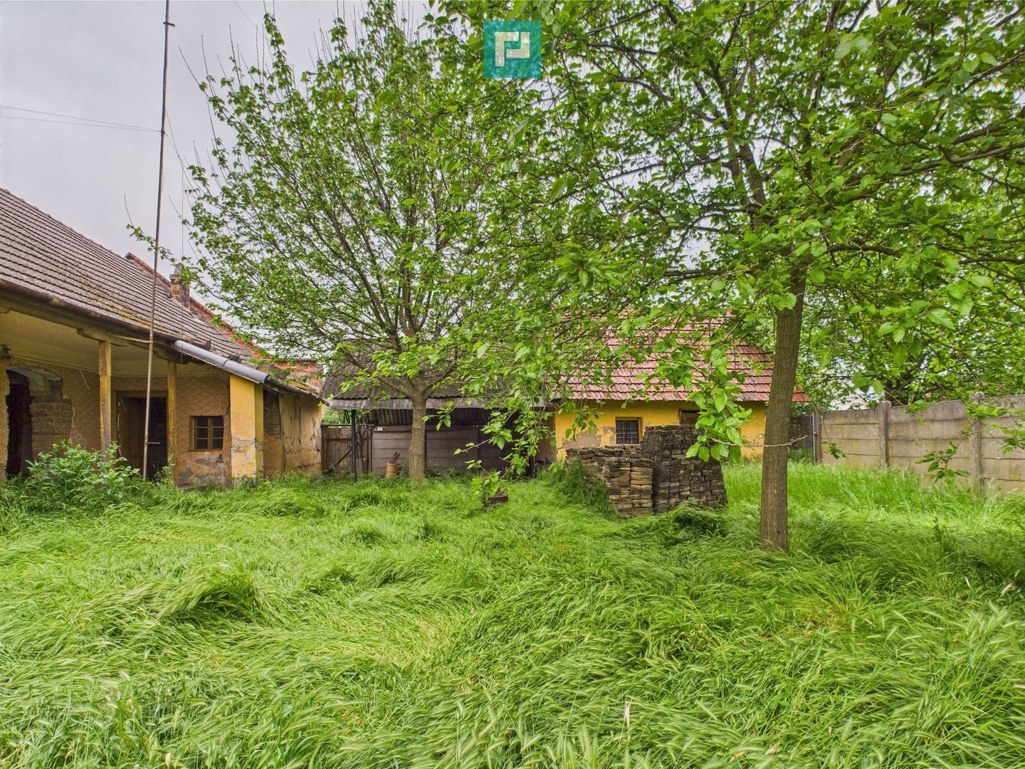 Casă de reabilitat pe teren generos- Comuna Variaș - Poză 10