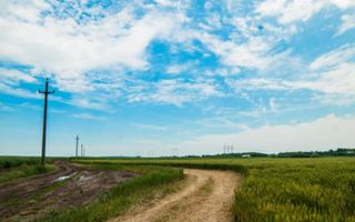 Teren intravilan in comuna Glina - Poză 6