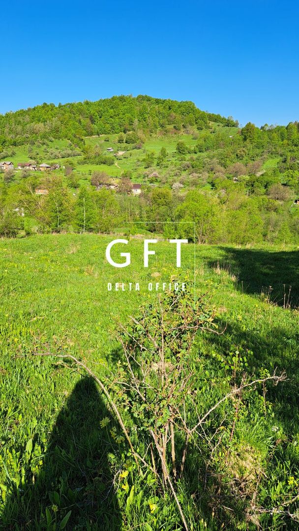 Teren extravilan de vanzare, Bistrita Bargaului- 10 minute de Colibita - Poză 14