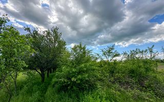 Teren de vanzare | 3.600mp | Valeni de Munte, Prahova | Comision 0% - Poză 7