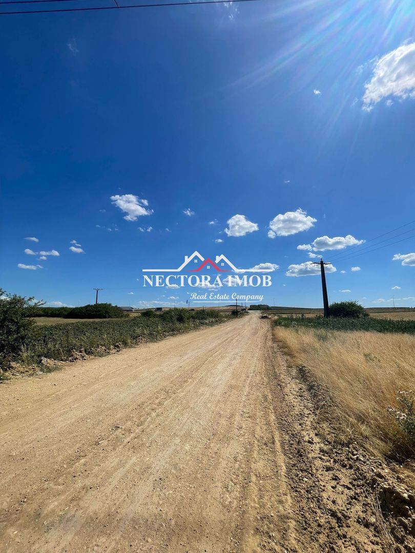 NECTORA IMOB-Teren Zona Osorhei, 5500 mp, 21 ml Front, 210 ml adancime - Poză 1