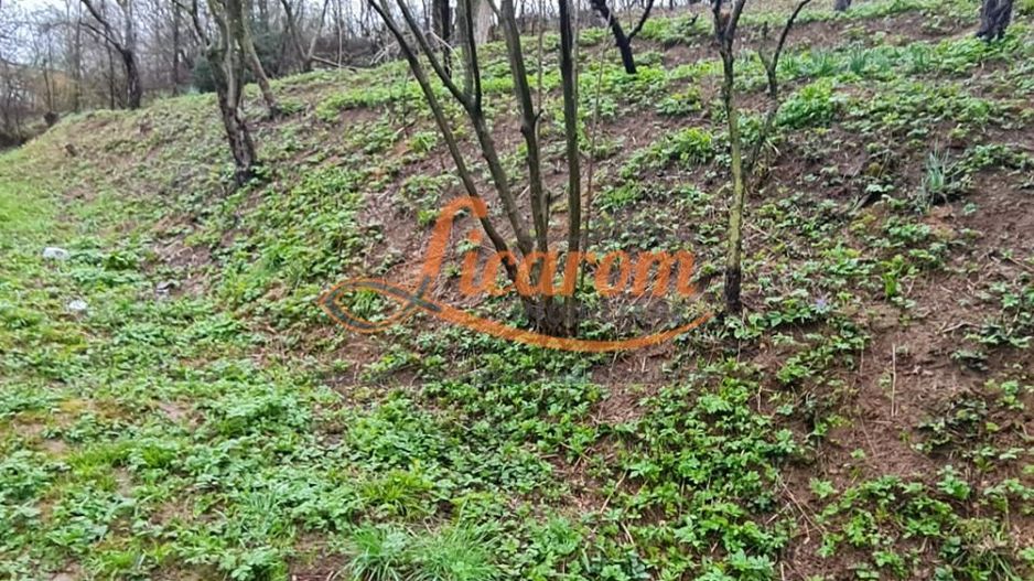 Teren intravilan1291 mp Schei Str Nisipului iesire la Drumul Poienii - Poză 9