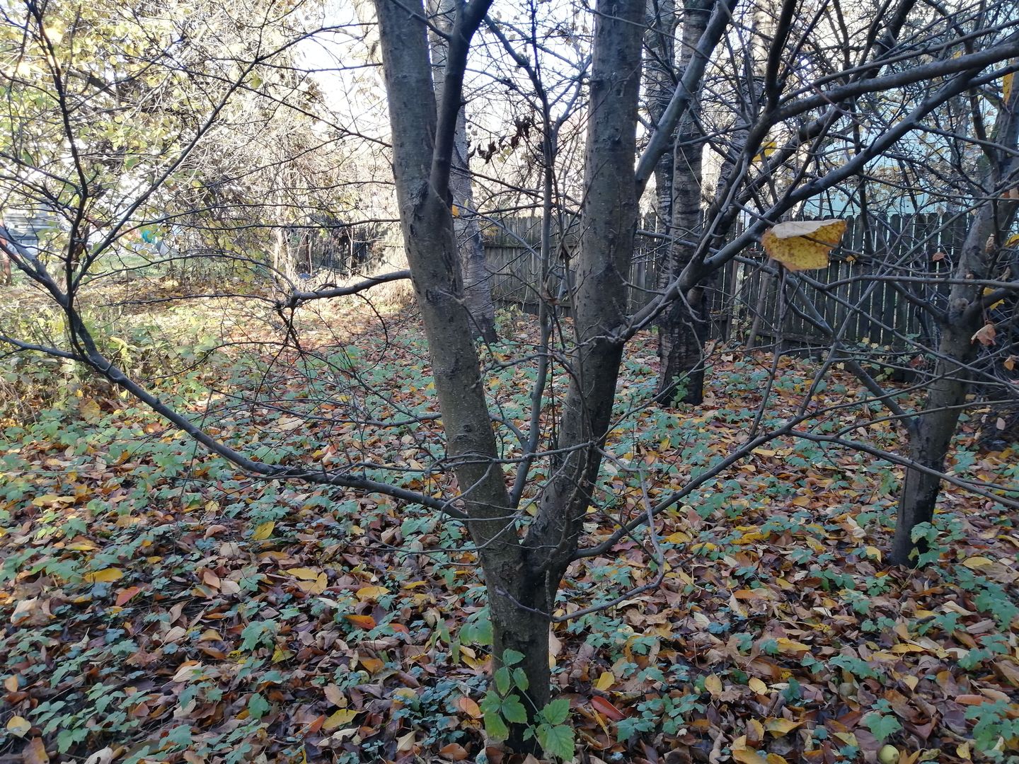 Vânzare casă in Brașov - Poză 8