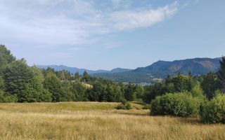 Teren intravilan de 200 ari la 1 km de lacul Colibița - Poză 3