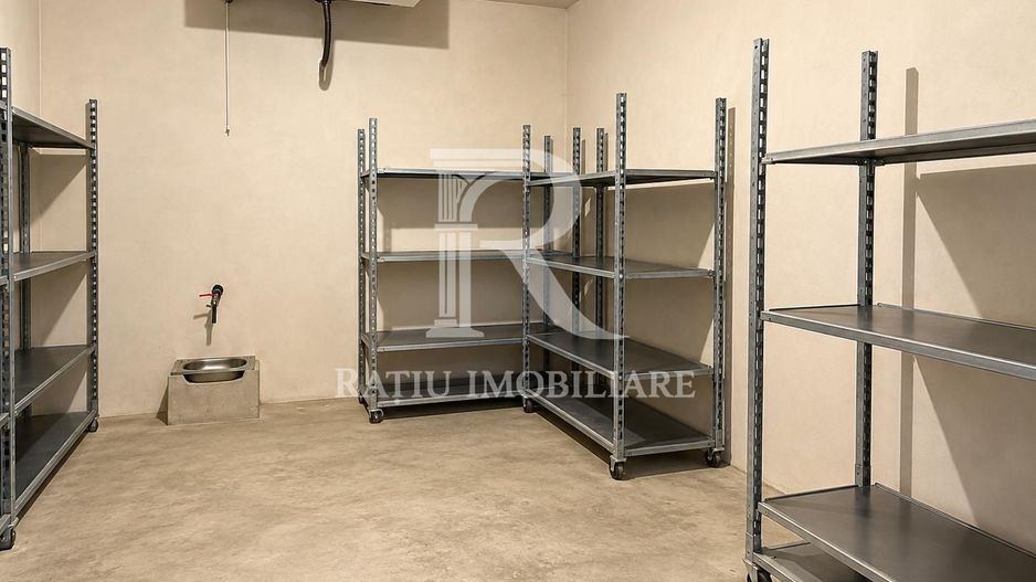 Teren intravilan agricol | 7029 mp | Satu Nou | Bihor - Poză 21