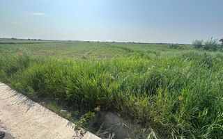 VÂNZARE TEREN MATRACA - Poză 2