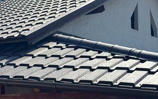 48.000 Euro casa+teren (in concesiune) 804 mp in com Branistea - Poză 1