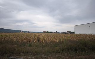 Teren de vanzare,2000mp,Cheriu-Bihor - Poză 3