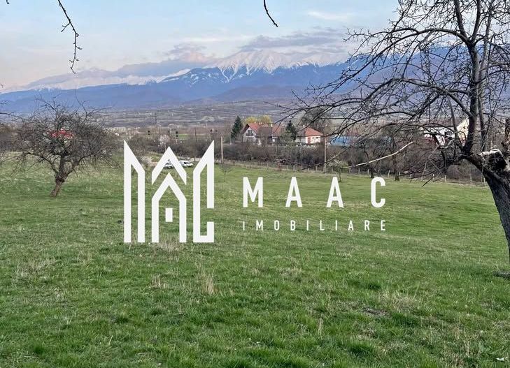 Teren extravilan de vânzare | Tălmaciu | 6.000 mp - Poză 1