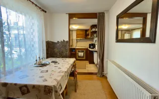 Casă Ultracentral în Oradea Rimanóczy Kálmán - curte proprie - Poză 18