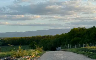 Teren Intravilan - Șură Mică - Poză 11