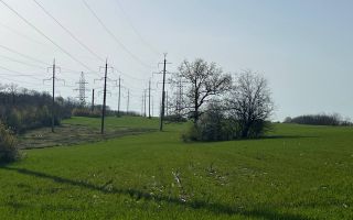 Teren 41,49 ari Ghidighici | deschidere 122 m | agricol | investiție - Poză 10