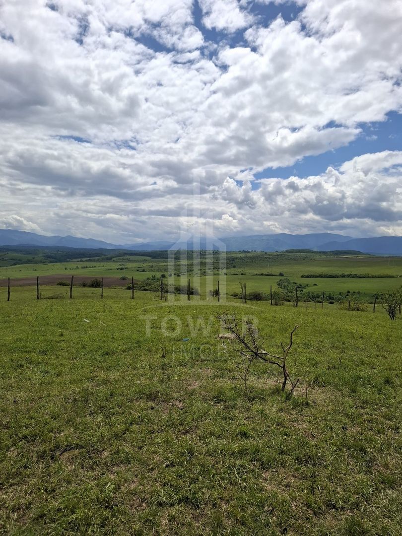 De vanzare, teren 11.500 mp – Dealul Dăii,  Vedere panoramică spre munți și lac - Poză 5