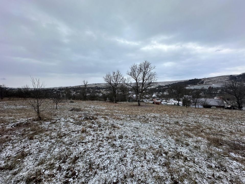 Casa individuala cu teren generos – 8.356 mp – Tichindeal, jud. Sibiu - Poză 8