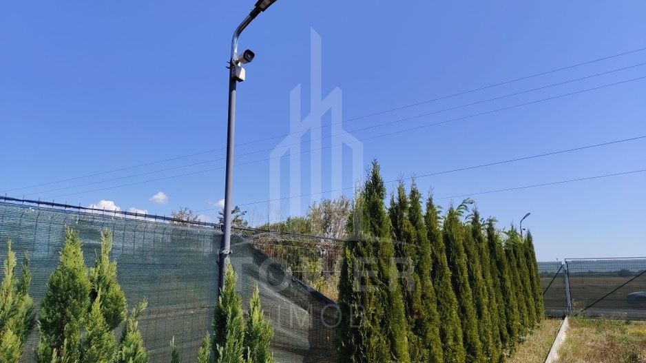TEREN INTRAVILAN DE VÂNZARE – VALEA AVRIGULUI | 1.913 MP - Poză 5