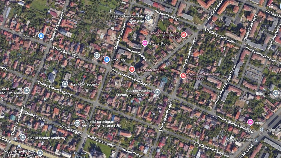 TEREN CU FRONT GENEROS DE 25 ML IN ZONA MEHALA - Poză 2