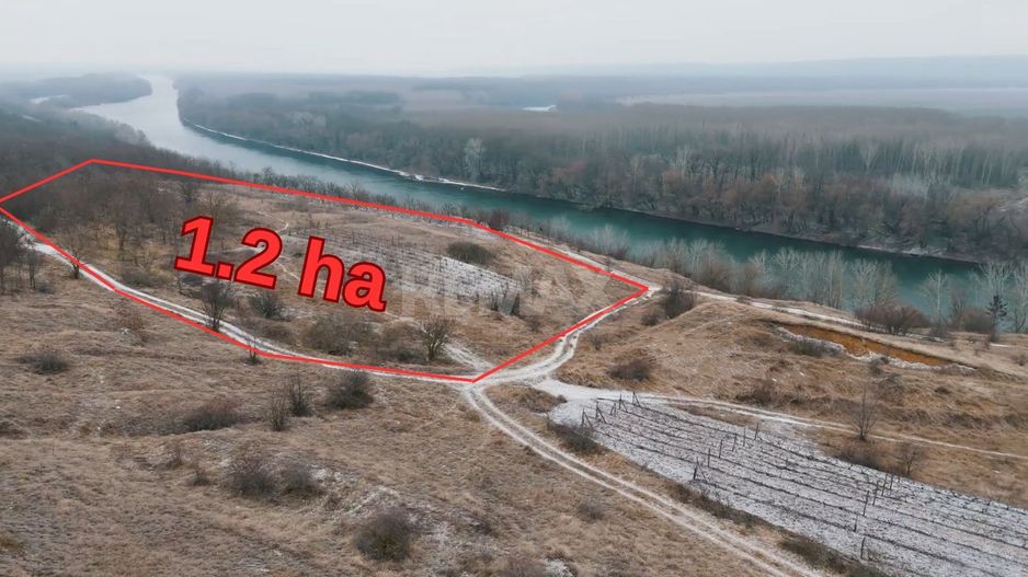 Teren pentru construcții, 120 ari pe malul Nistrului, Doroțcaia - Poză 2
