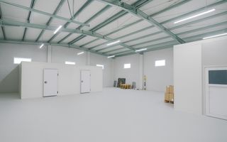 Spatiu Comercial 215 mp&Hală 380 mp | Împreună sau separat | Milisauti - Poză 6