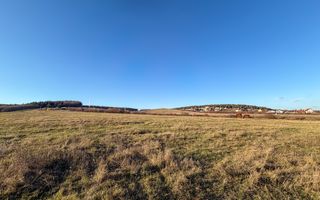 Teren Extravilan | 3.000 mp | Strada Pădurii - Poză 4