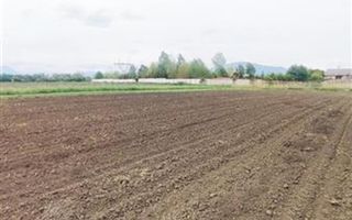 teren intravilan Stupini-Albinelor - Poză 7