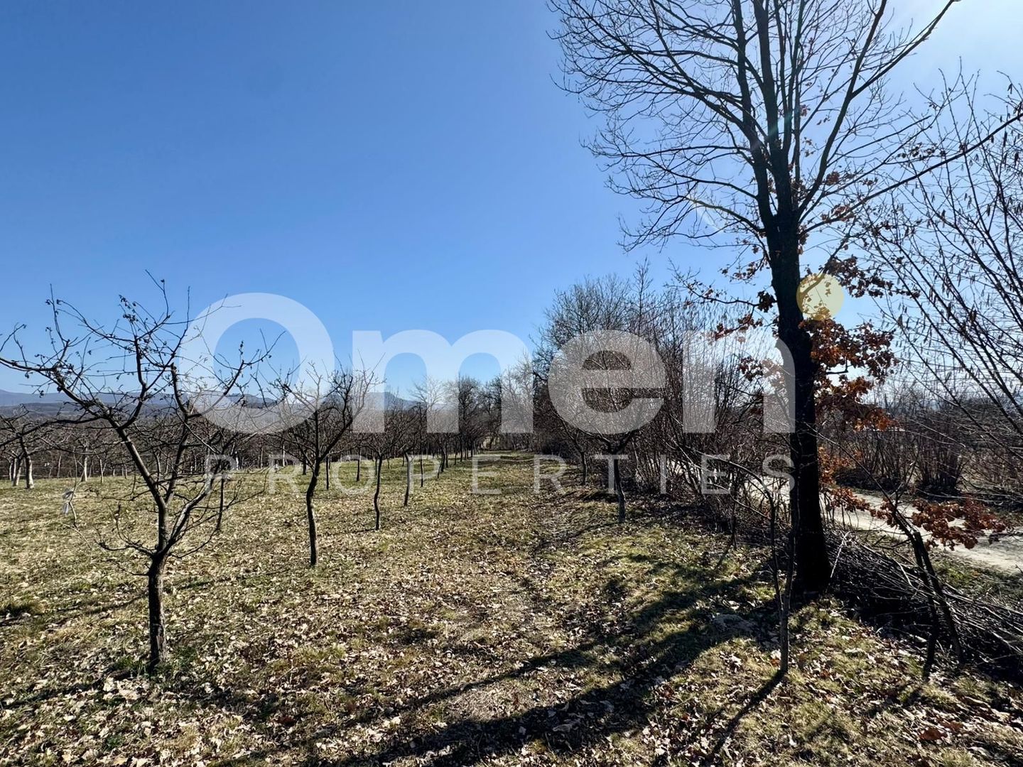 Teren intravilan | Berința | 5800 mp - Poză 3