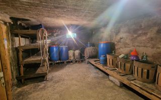 Casa cu livada in Cetea - Poză 15