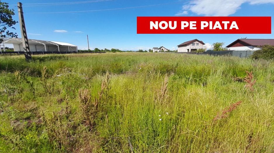 Teren intravilan Bradu 1312 mp 2 deschideri - Poză 1