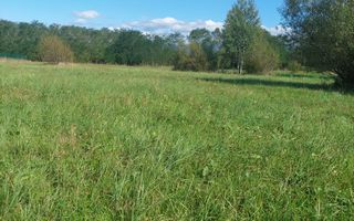 TEREN INTRAVILAN\699 mp, 45€ mp\ CARANSEBEȘ\ ZONA TEIUȘ - Poză 6