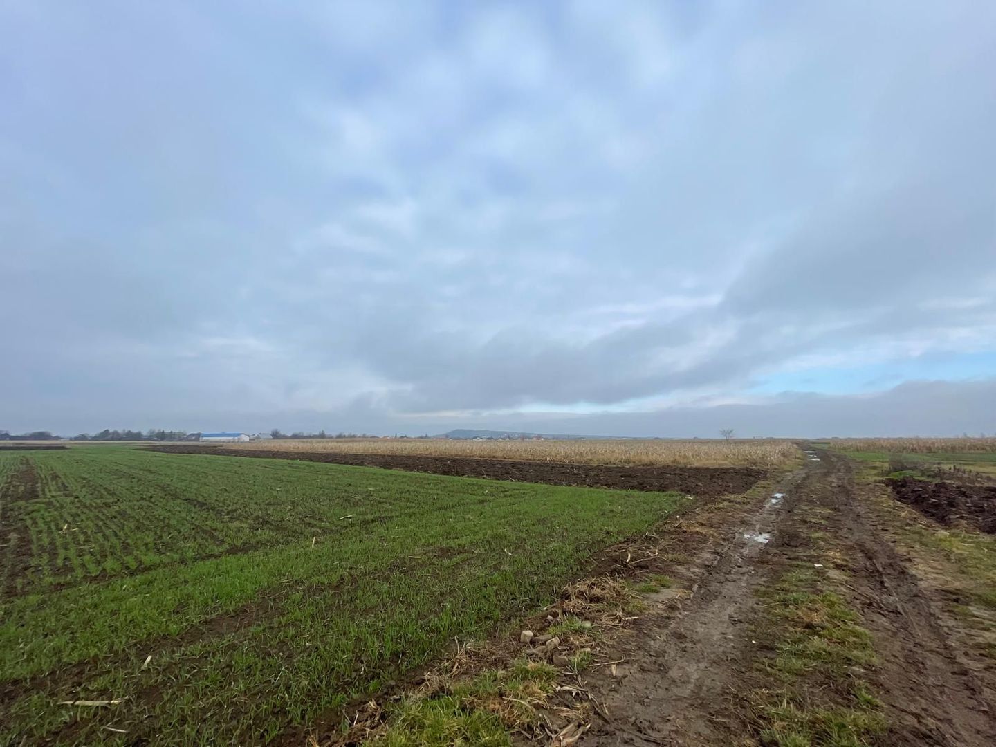 TEREN EXTRAVILAN 13 ARI | FRONT STRADAL 13 M | MARGINEA - Poză 10