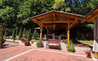 Vila  Frumoasa , Sibiu ,6 camere , 5 Bai , mobilata ,utilata - Poză 63