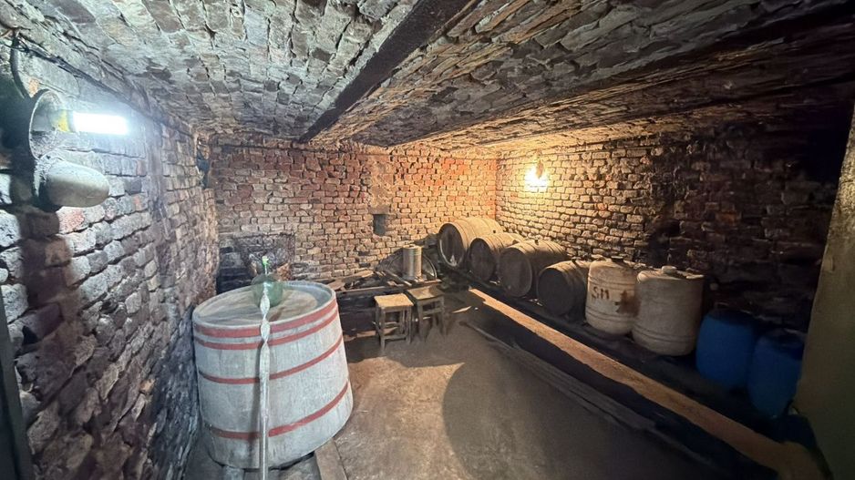De vânzare 2 Case de vinificație cu Teren 4108 mp - Grădina Viilor - Carei - Poză 6