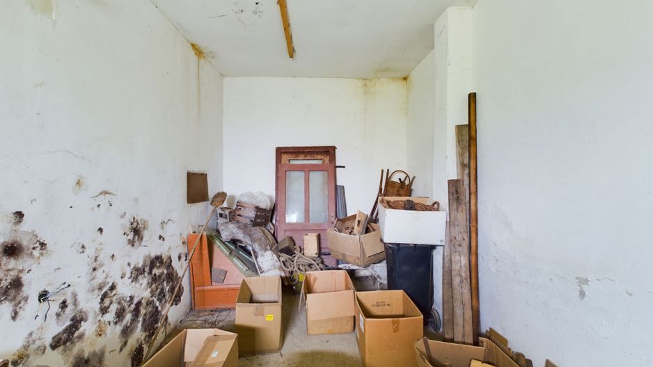 Oportunitate de investiție în orașul Sebiș - Poză 8