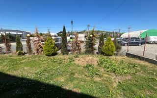 Apartament 3 camere | Decomandat | Terasă+Balcon | Șura Mare - Poză 28