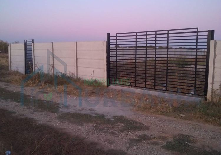 Teren intravilan 500 mp, zona Adunații Copăceni, Mogosesti - Poză 2