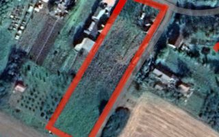 Vând proprietate deosebită, 8 km de Satu Mare – Apateu - Poză 5