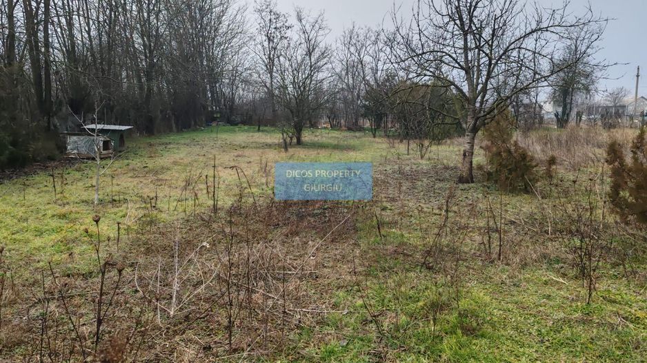 Teren 2.600 mp, utilități, Str. Merișor – Giurgiu - Poză 6