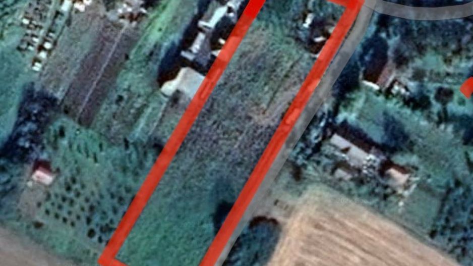 Vând proprietate deosebită, 8 km de Satu Mare – Apateu - Poză 5