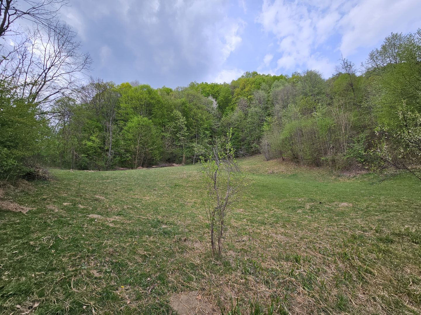 Teren intravilan 1454 mp la marginea padurii zona locuita de case! - Poză 5