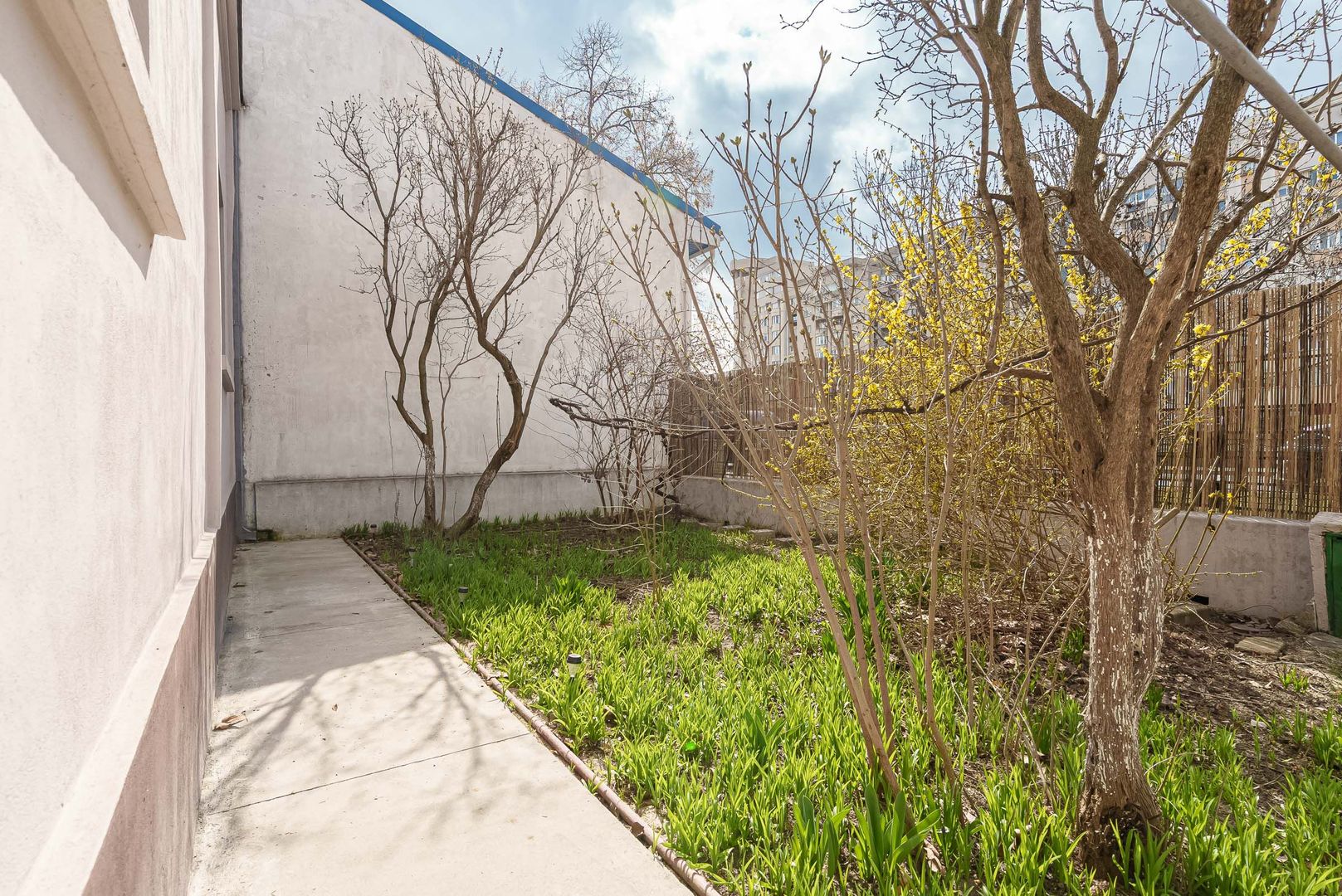 Piata Muncii, casa 87 mp totali, 179 mp curte libera, ideala birouri - Poză 6